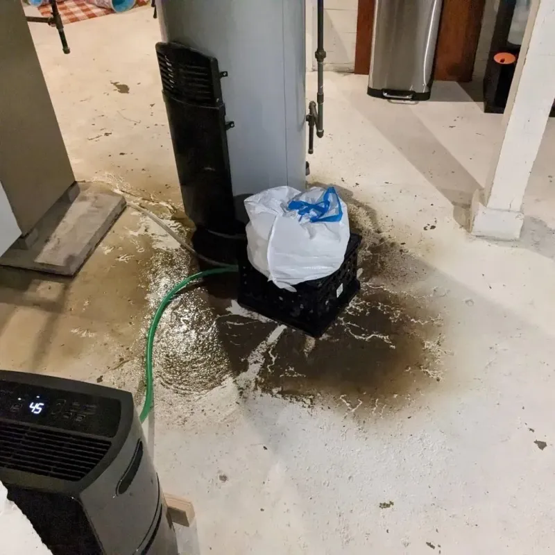 Sewage Backup Cleanup Service in Newland, NC